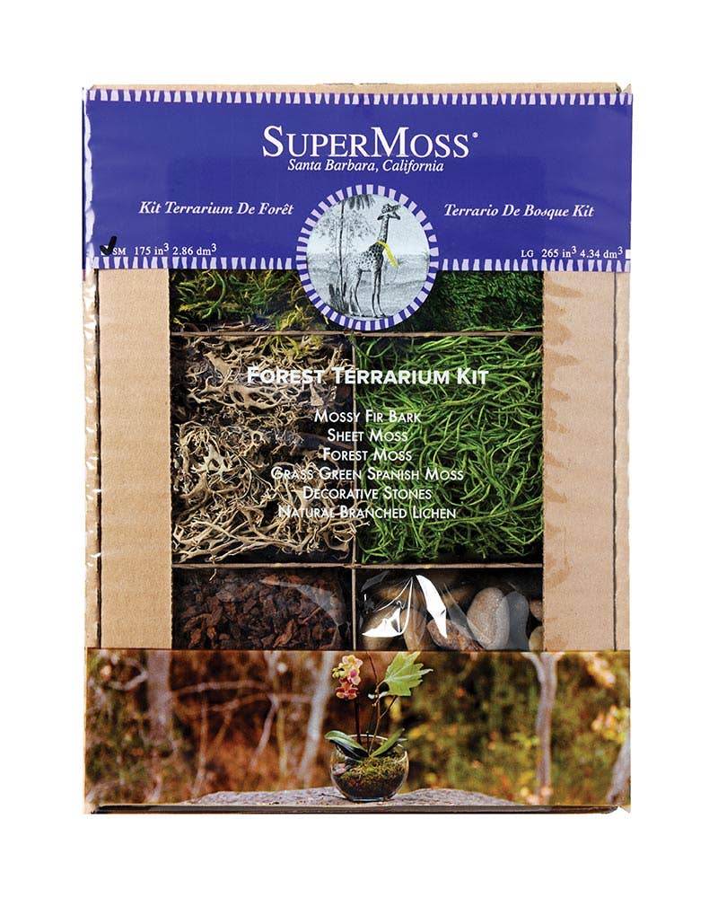 SuperMoss - Forest Terrarium Kit: