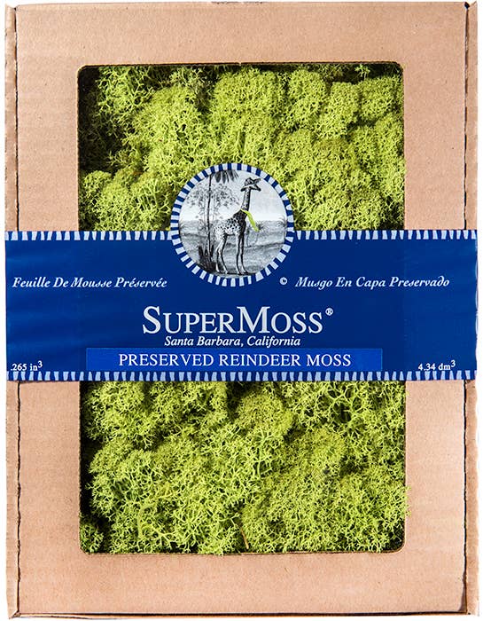 Reindeer Moss - 4oz