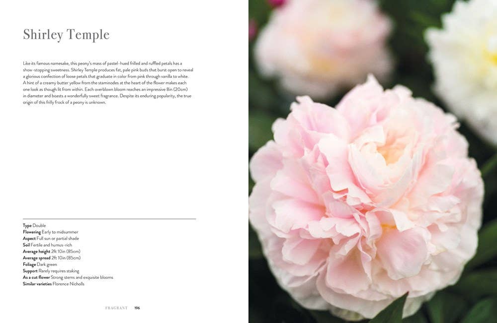 Gibbs Smith - Peonies: Beautiful Varieties for Home & Garden