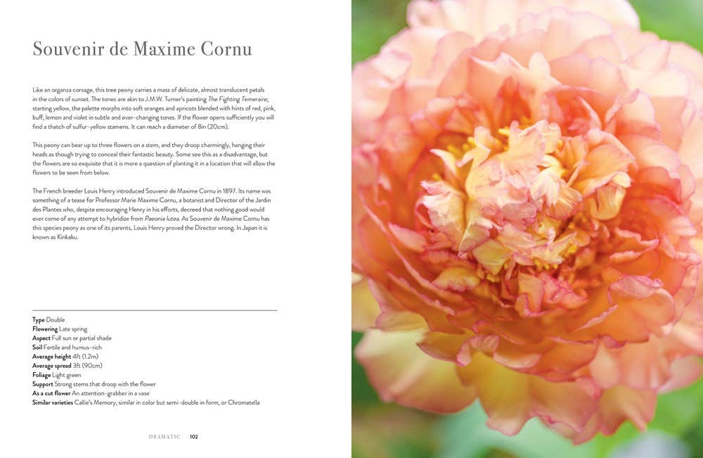 Gibbs Smith - Peonies: Beautiful Varieties for Home & Garden