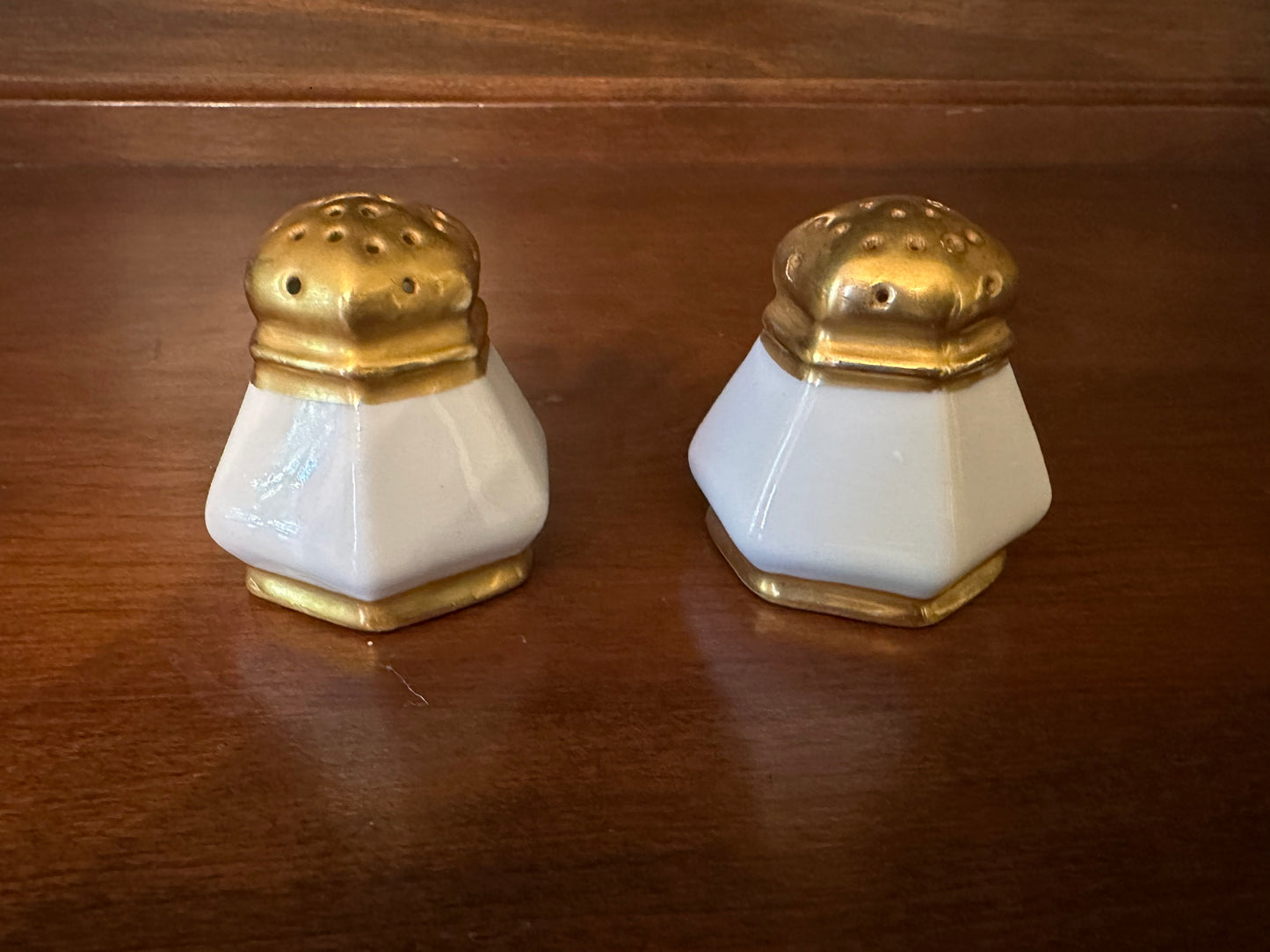 Antique Vienna Austria Salt and Pepper Shaker Set