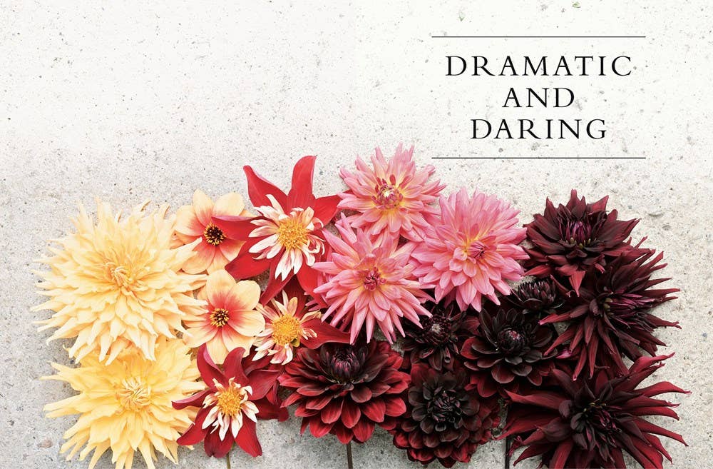 Gibbs Smith - Dahlias; Beautiful Varieties for Home & Garden (hardcover)