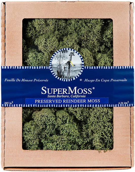 Reindeer Moss - 4oz