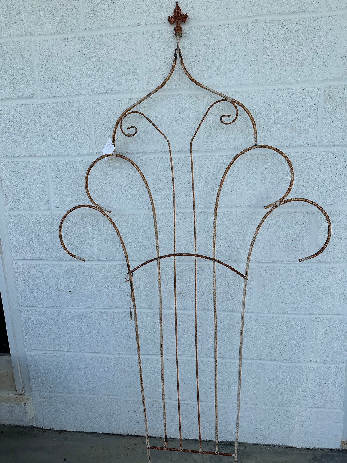 Metal Trellis