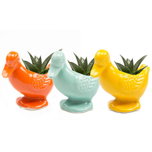 Duck Indoor Plant Pot for Succulents