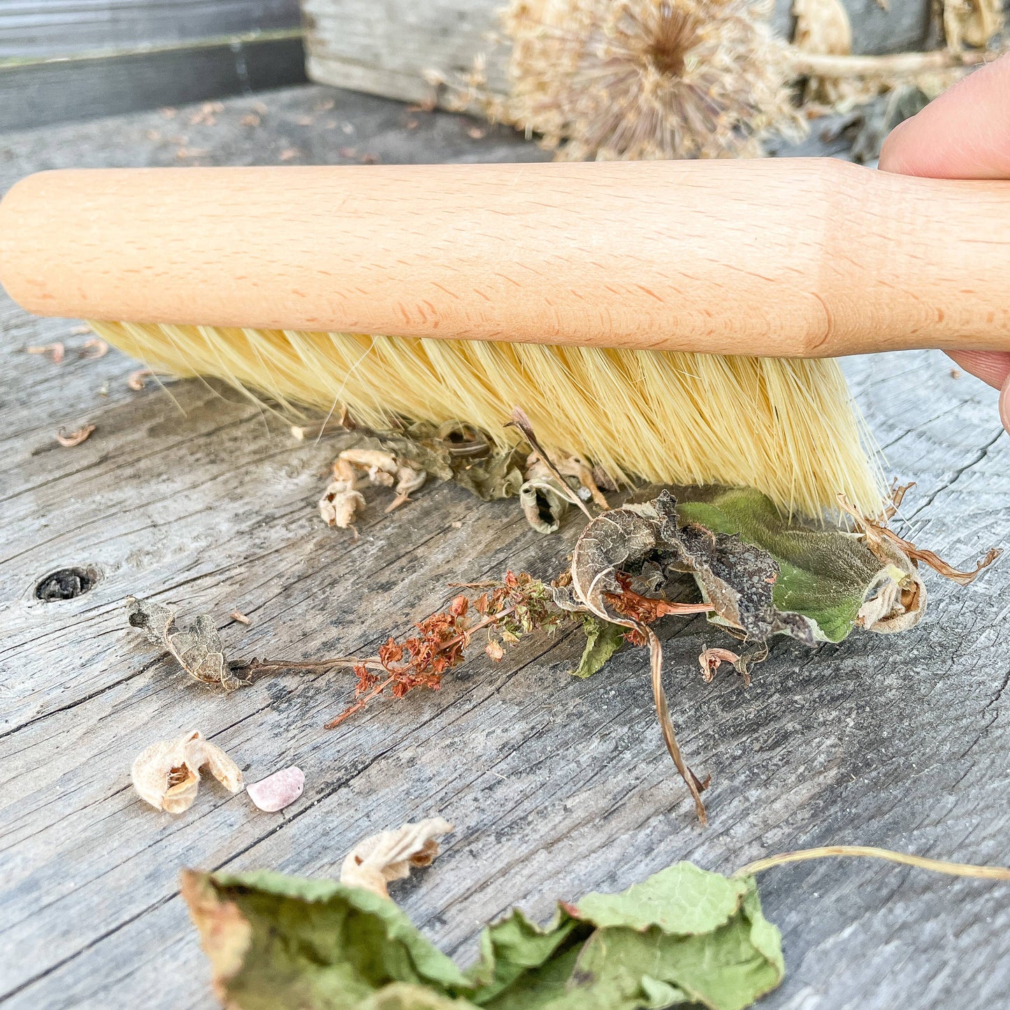 Seattle Seed Co. - Multi-Purpose Gardener's Brush