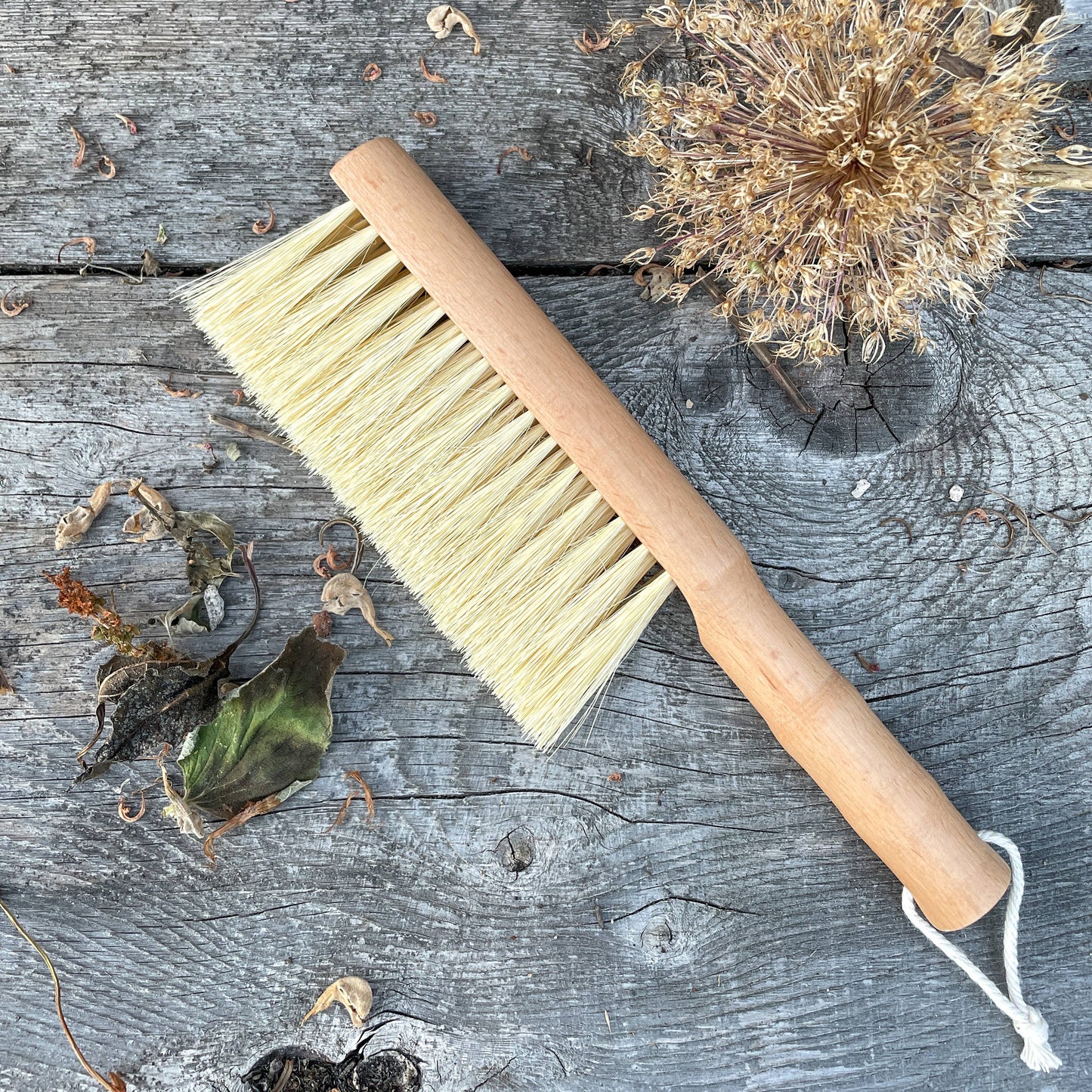 Seattle Seed Co. - Multi-Purpose Gardener's Brush