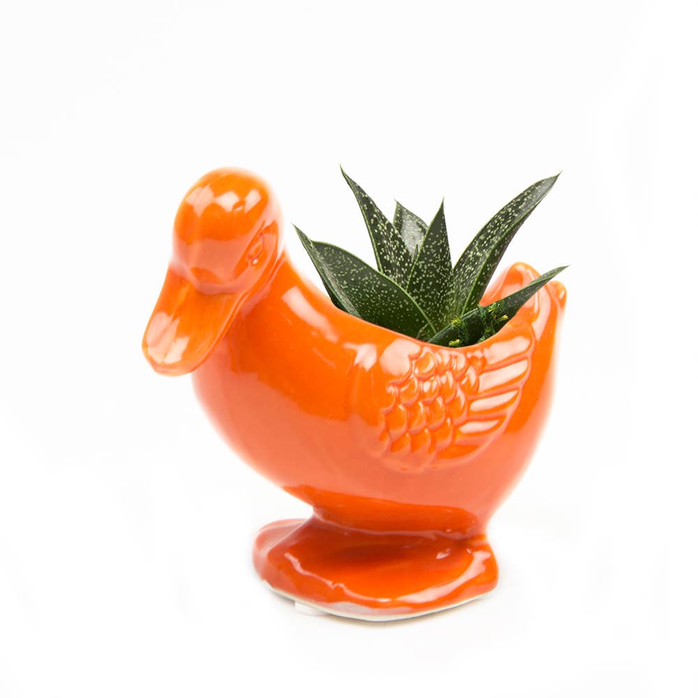 Duck Indoor Plant Pot for Succulents