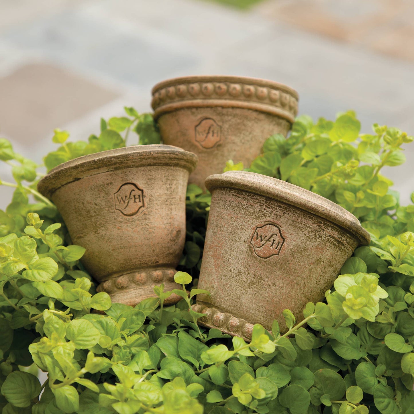 Wakefield Handmade Mini Pots - Brown